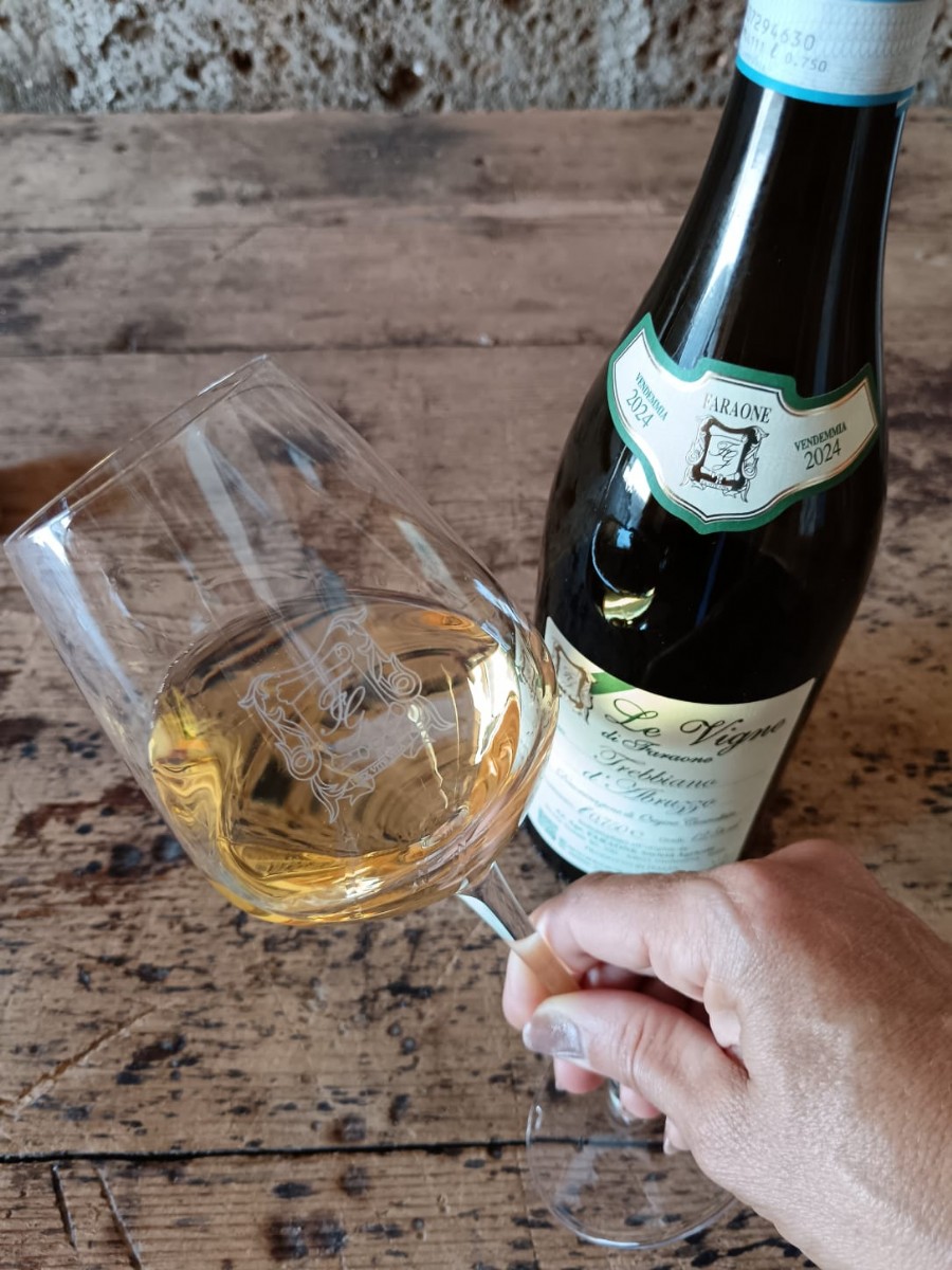 TREBBIANO D'ABRUZZO DOC