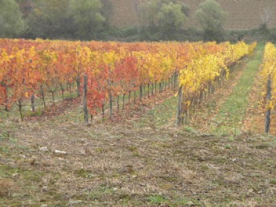 autunno